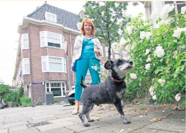 Loosduinen oppas hond, Waldeck oppas hond, Vruchtenbuurt oppas hond, Valkenboskwartier oppas hond, Regentessekwartier oppas hond, Zeeheldenkwartier oppas hond, Bezuidenhout oppas hond, Stationsbuurt oppas hond, Rustenburg en Oostbroek oppas hond, Wateringse Veld oppas hond, Ypenburg oppas hond,