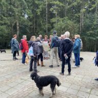 oppas hond, oppas hond Heerlen, oppas hond Helmond, oppas hond Hengelo, oppas hond 's-Hertogenbosch, oppas hond Hilversum, oppas hond Hoorn, oppas hond Leeuwarden, oppas hond Leiden, oppas hond Lelystad, oppas hond Maastricht,