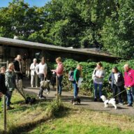 oppas honden Haarlemmermeer, oppas honden Heerlen, oppas honden Helmond, oppas honden 's Hertogenbosch, oppas honden Hengelo, oppas honden Hilversum, oppas honden Hoorn, oppas honden Leeuwarden, oppas honden Leiden, oppas honden Lelystad,